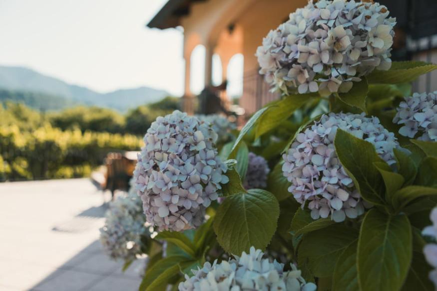 Il Frescale Country House Tramonti Exterior photo